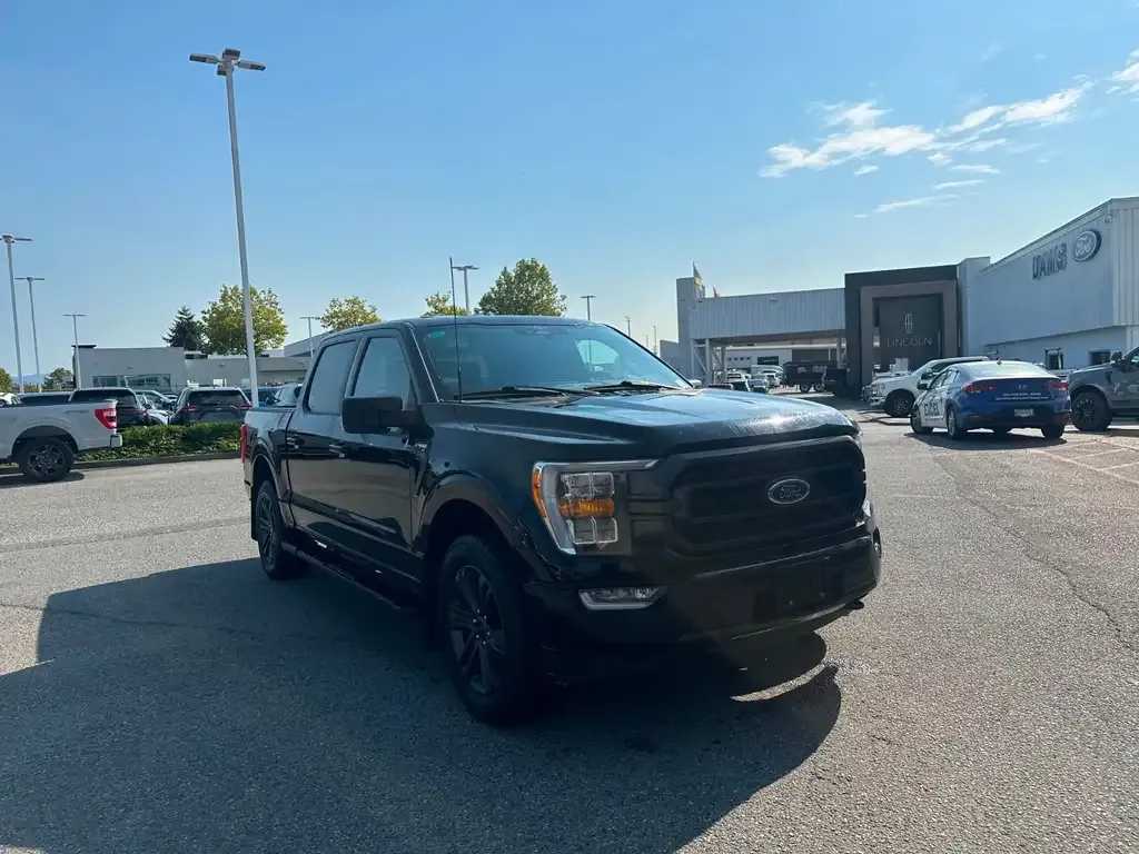 Ford F-150 2023 photo 3