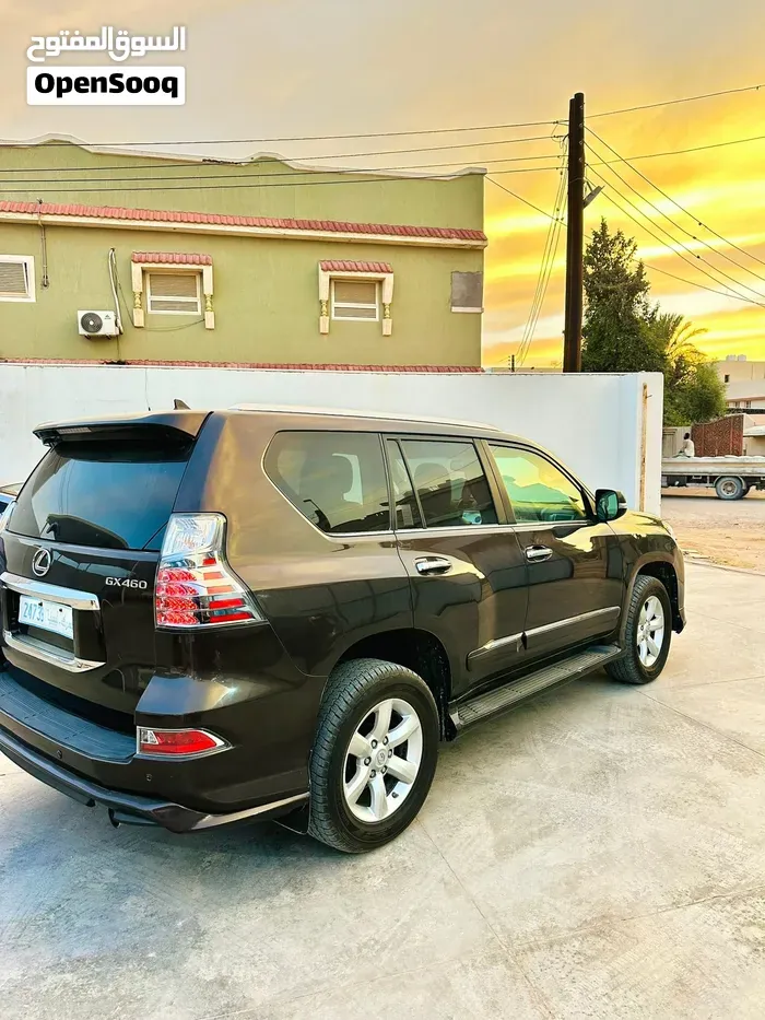 Lexus Gx 460 Luxury 2020 photo 4