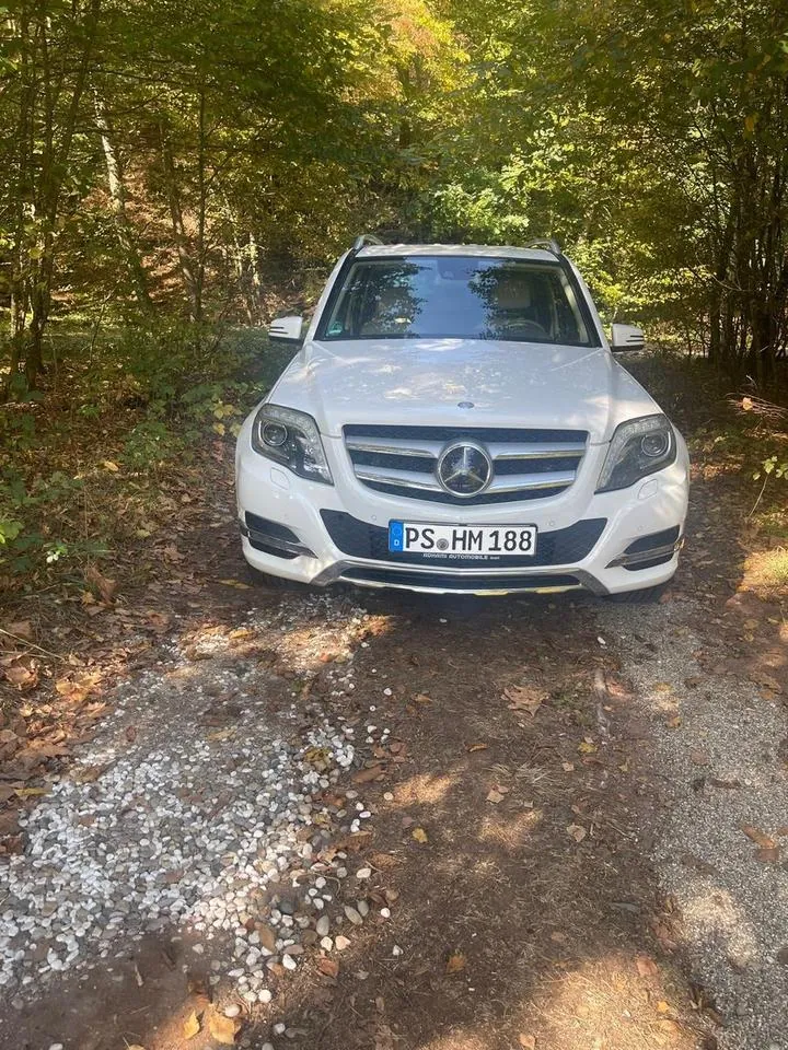 Mercedes-Benz Glk 220