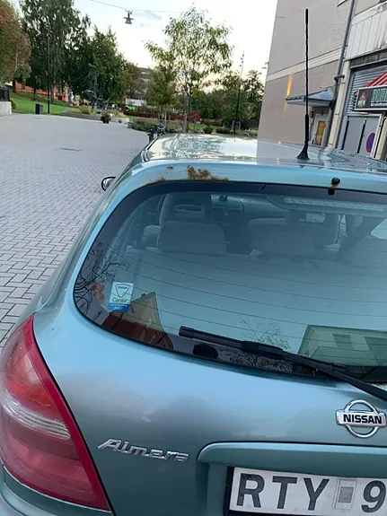 Nissan Almera 2001 photo 4