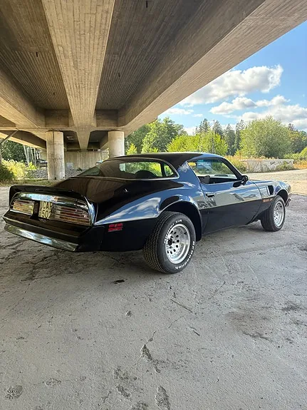 Pontiac Firebird 1976 photo 3