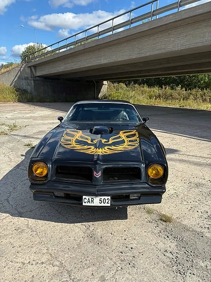 Pontiac Firebird 1976 photo 4