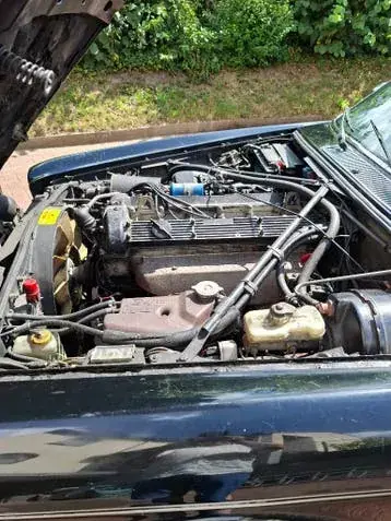 Jaguar Sovereign