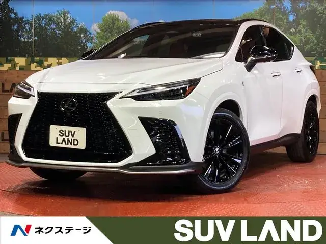 Toyota Nx