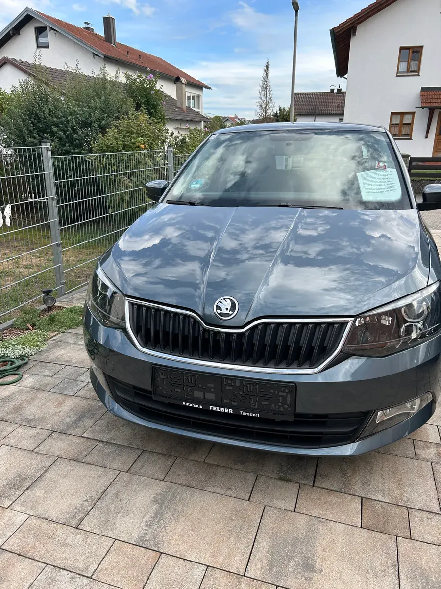 Skoda Fabia 2017 photo 2