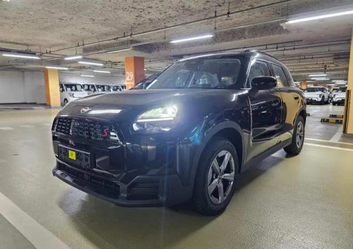 Mini Countryman S
