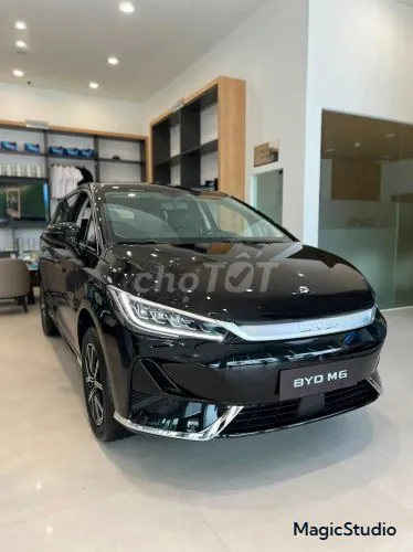BYD M6