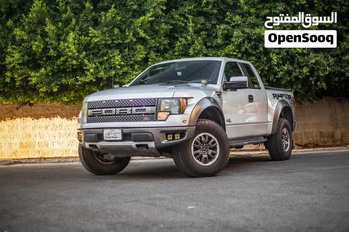 Ford F-150 2011 photo 3