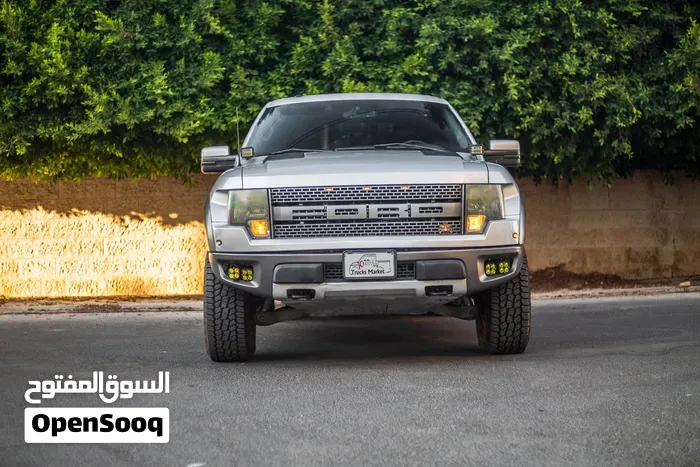 Ford F-150 2011 photo 2