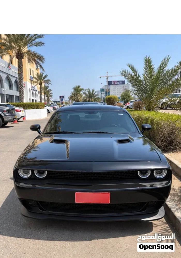 Dodge Challenger 2009 photo 2