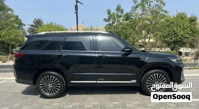 Changan Cs95 2020 photo 5