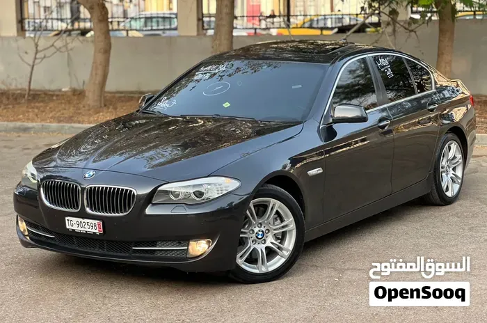 BMW 5 Series 2010 photo 5