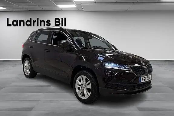 Skoda Karoq 2020 photo 3