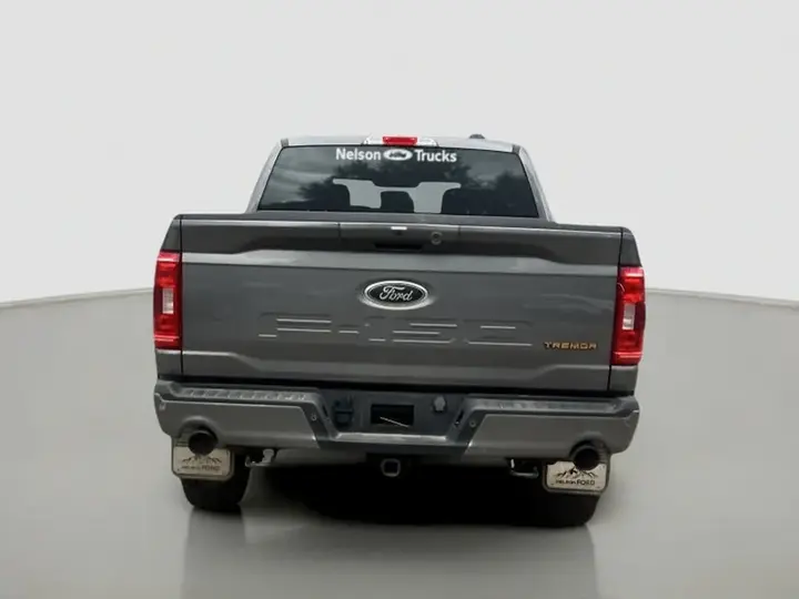Ford F-150 Tremor 2023 photo 4
