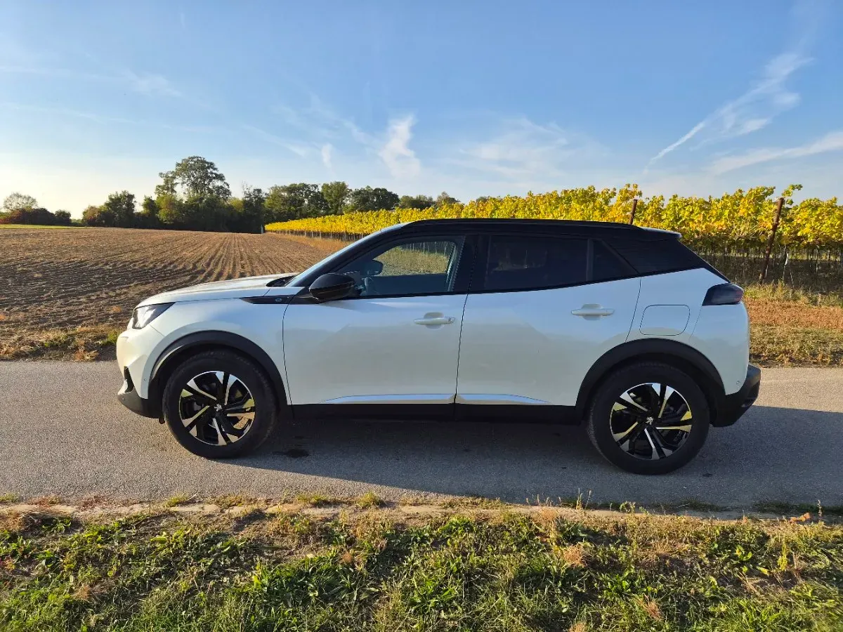 Peugeot 2008 2022 photo 3