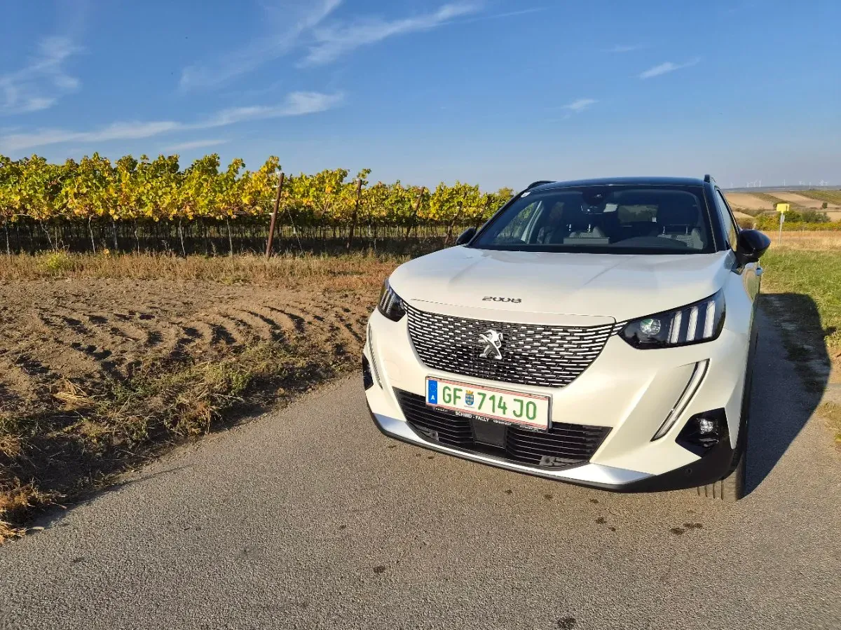 Peugeot 2008 2022 photo 2