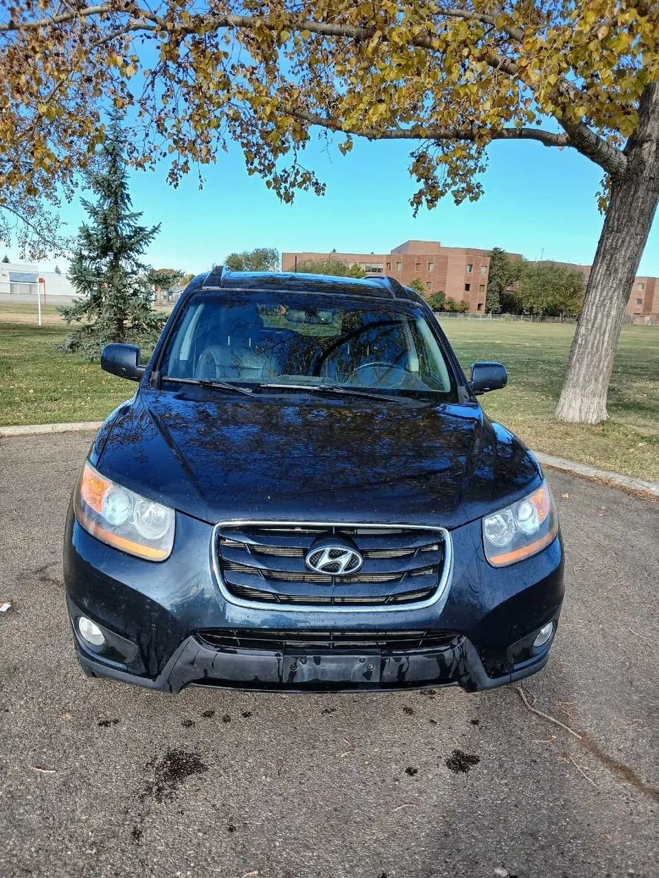 Hyundai Santa Fe 2010 photo 3