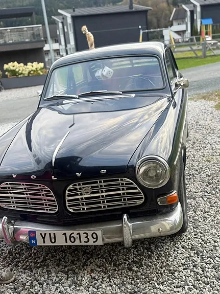 Volvo Amazon