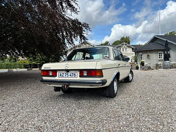 Mercedes-Benz 300 D 1979 photo 4