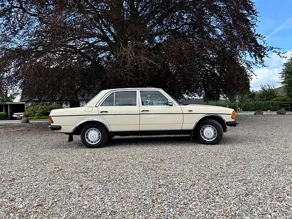 Mercedes-Benz 300 D 1979 photo 3