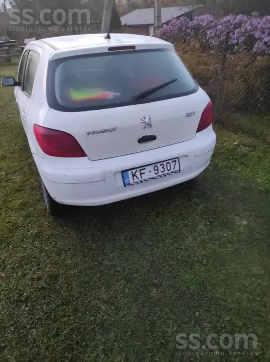 Peugeot 307 2002 photo 4