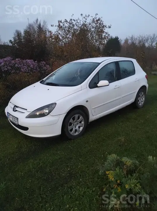 Peugeot 307 2002 photo 2