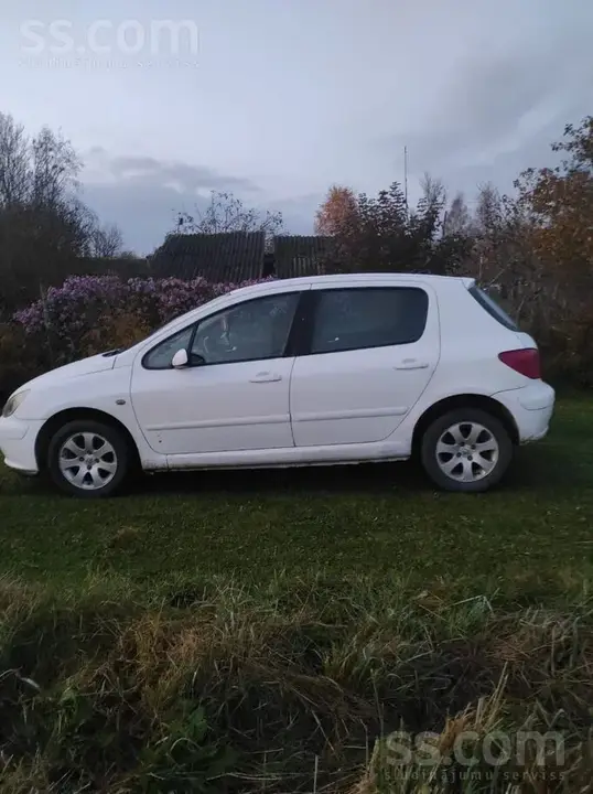 Peugeot 307 2002 photo 3