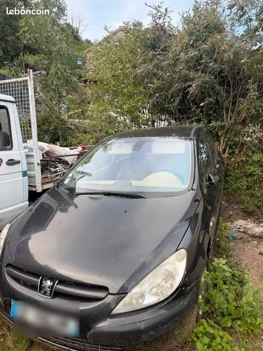 Peugeot 307