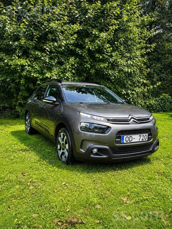 Citroen C4 Cactus 2019 photo 2