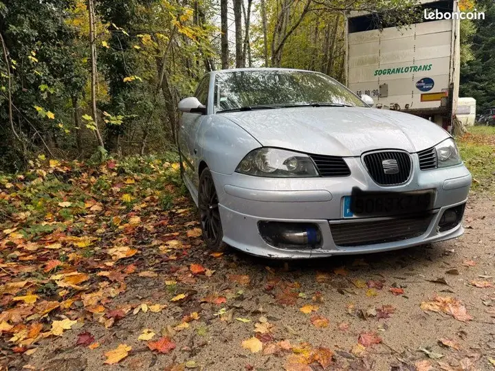 Seat Ibiza 2002 photo 2