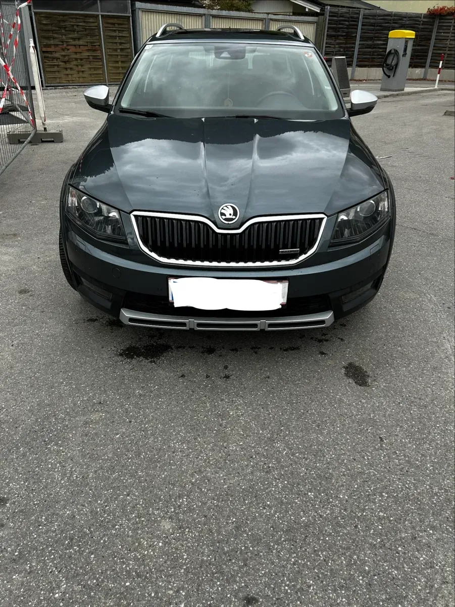 Skoda Octavia 2014 photo 2