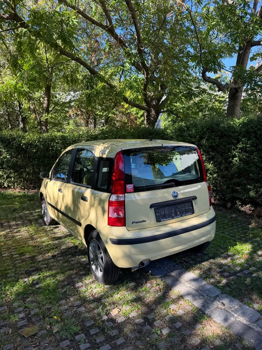 Fiat Panda 2007 photo 2