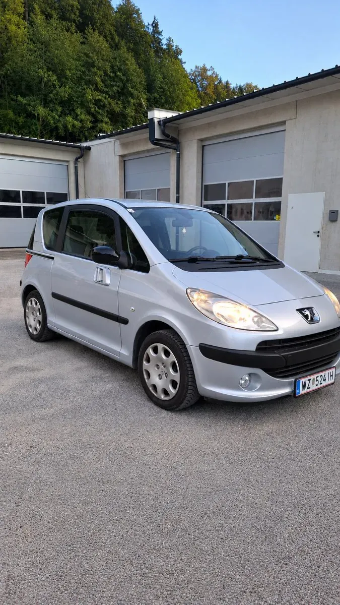 Peugeot 1007 2005 photo 2