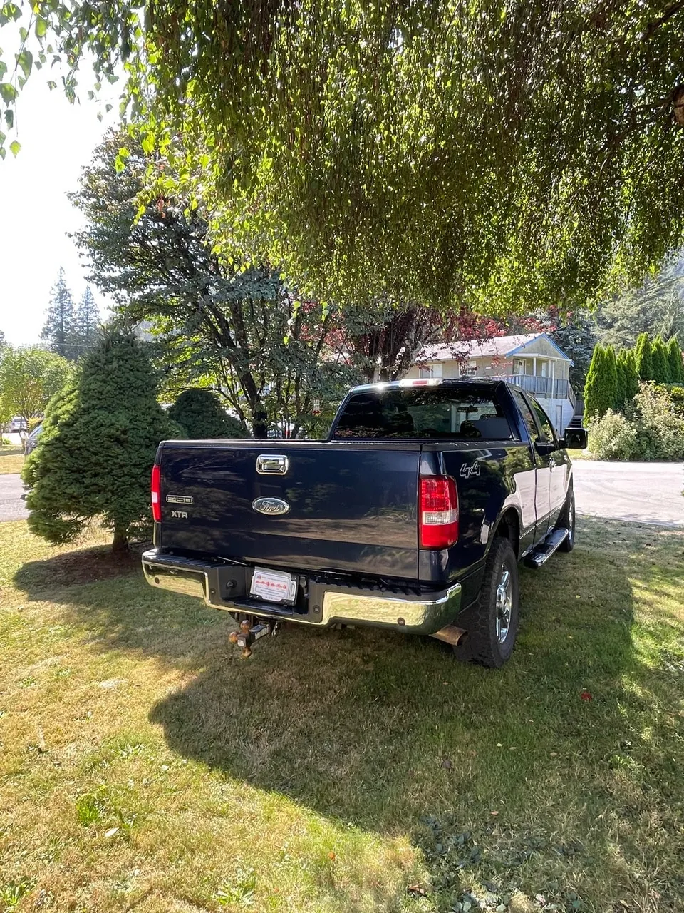 Ford F-150 2006 photo 4