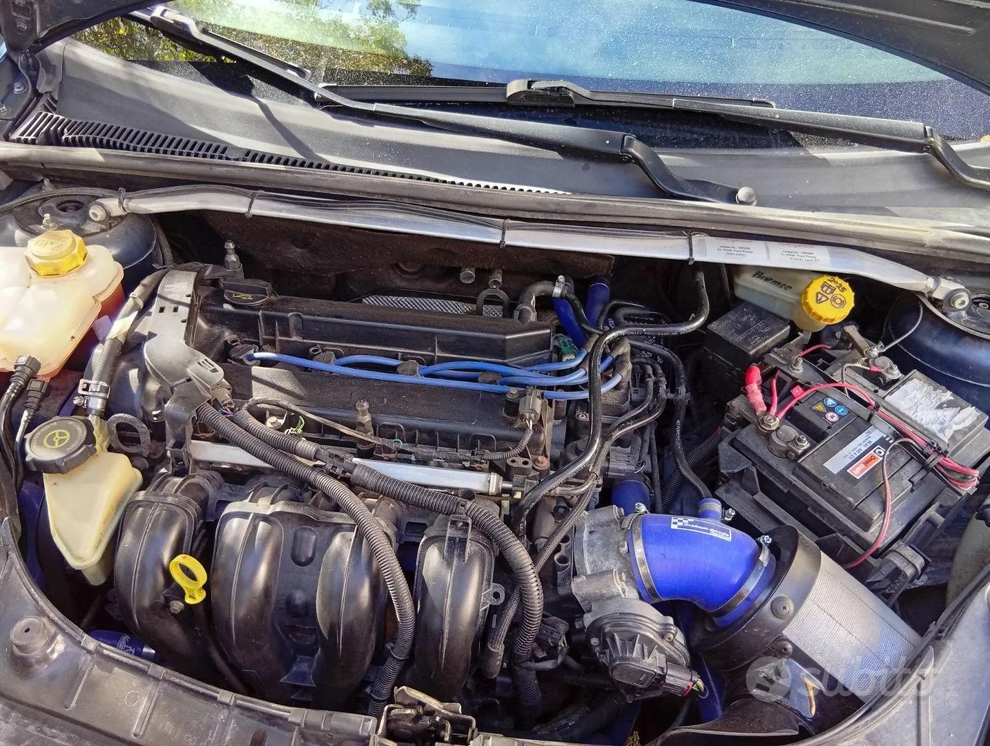 Ford Fiesta 2005 photo 3