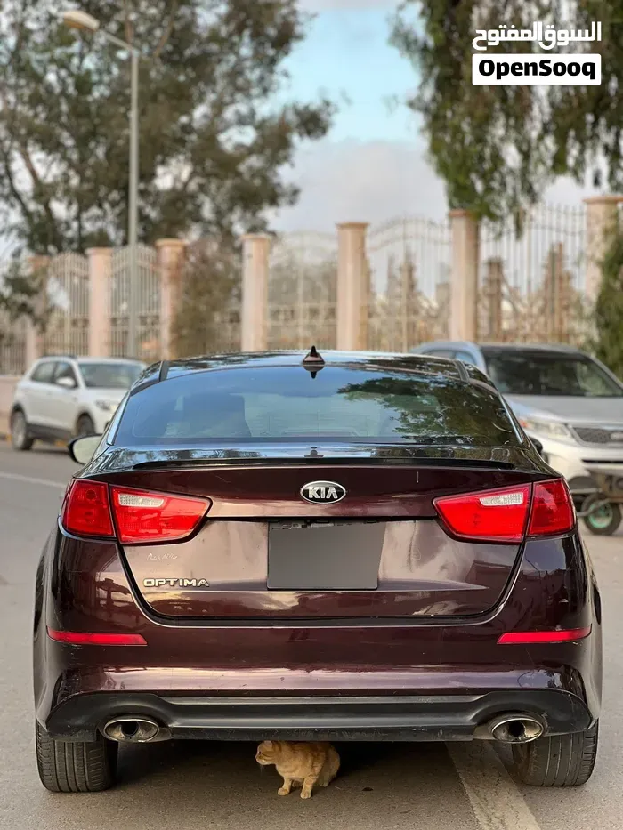 Kia K5 2015 photo 3