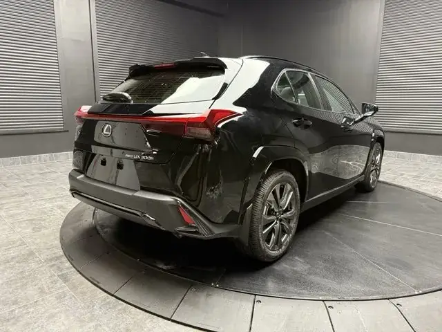 Lexus Ux 2025 photo 3