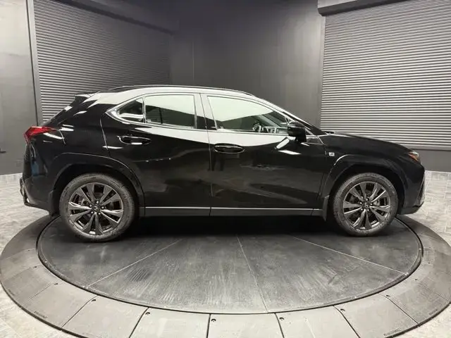 Lexus Ux 2025 photo 2