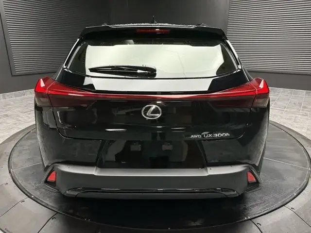 Lexus Ux 2025 photo 4