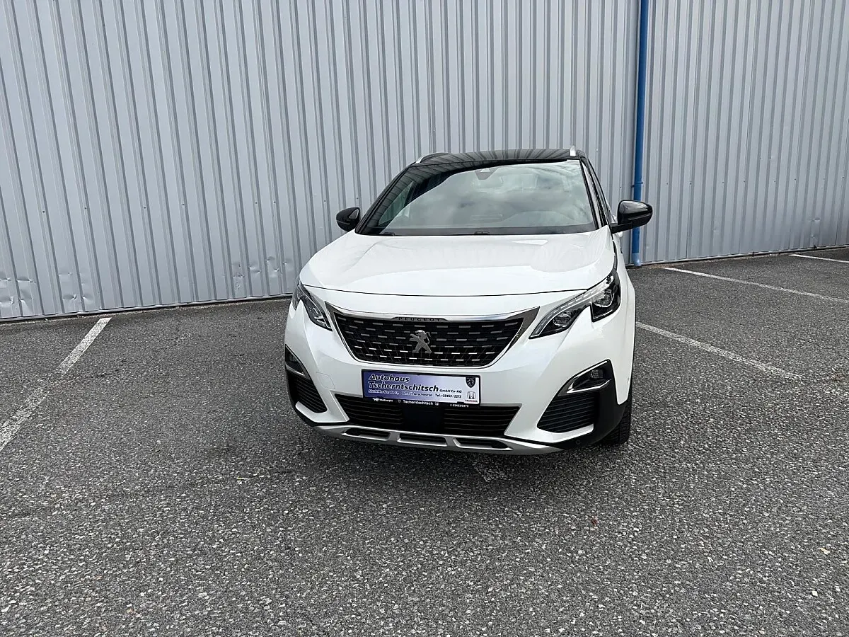 Peugeot 3008 2019 photo 2