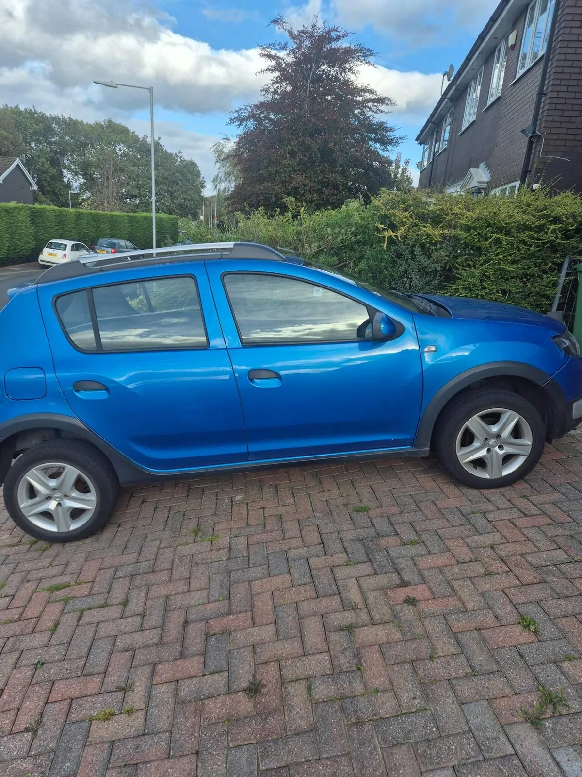Dacia Sandero Stepway 2013 photo 5