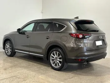 Mazda Cx-8 2020 photo 3