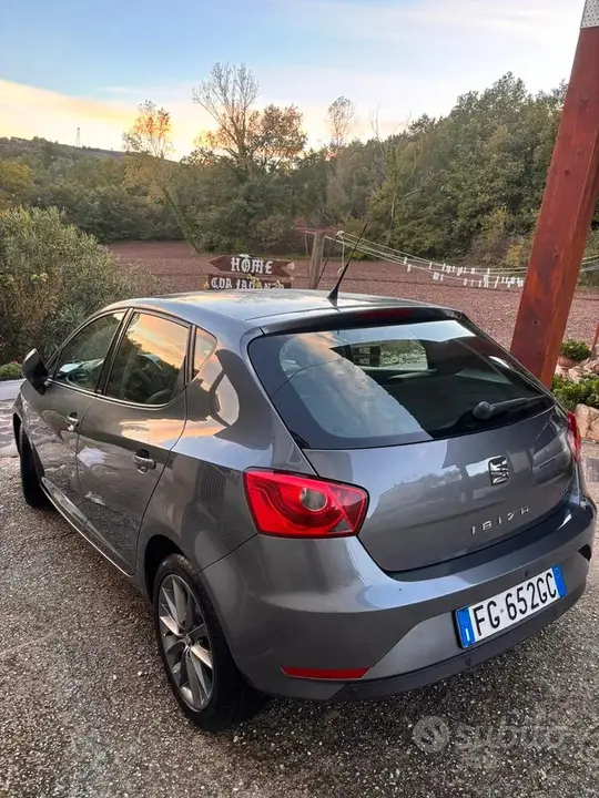Seat Ibiza 2015 photo 2