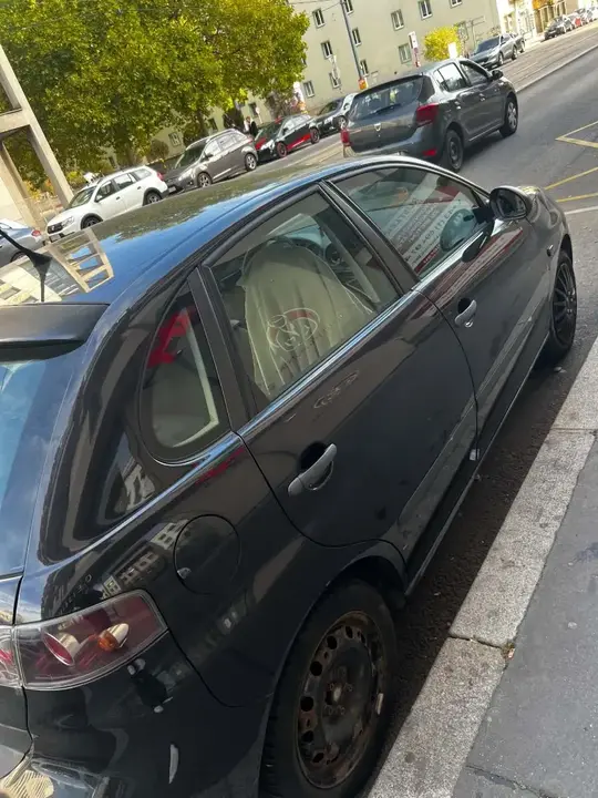 Seat Ibiza 2006 photo 2