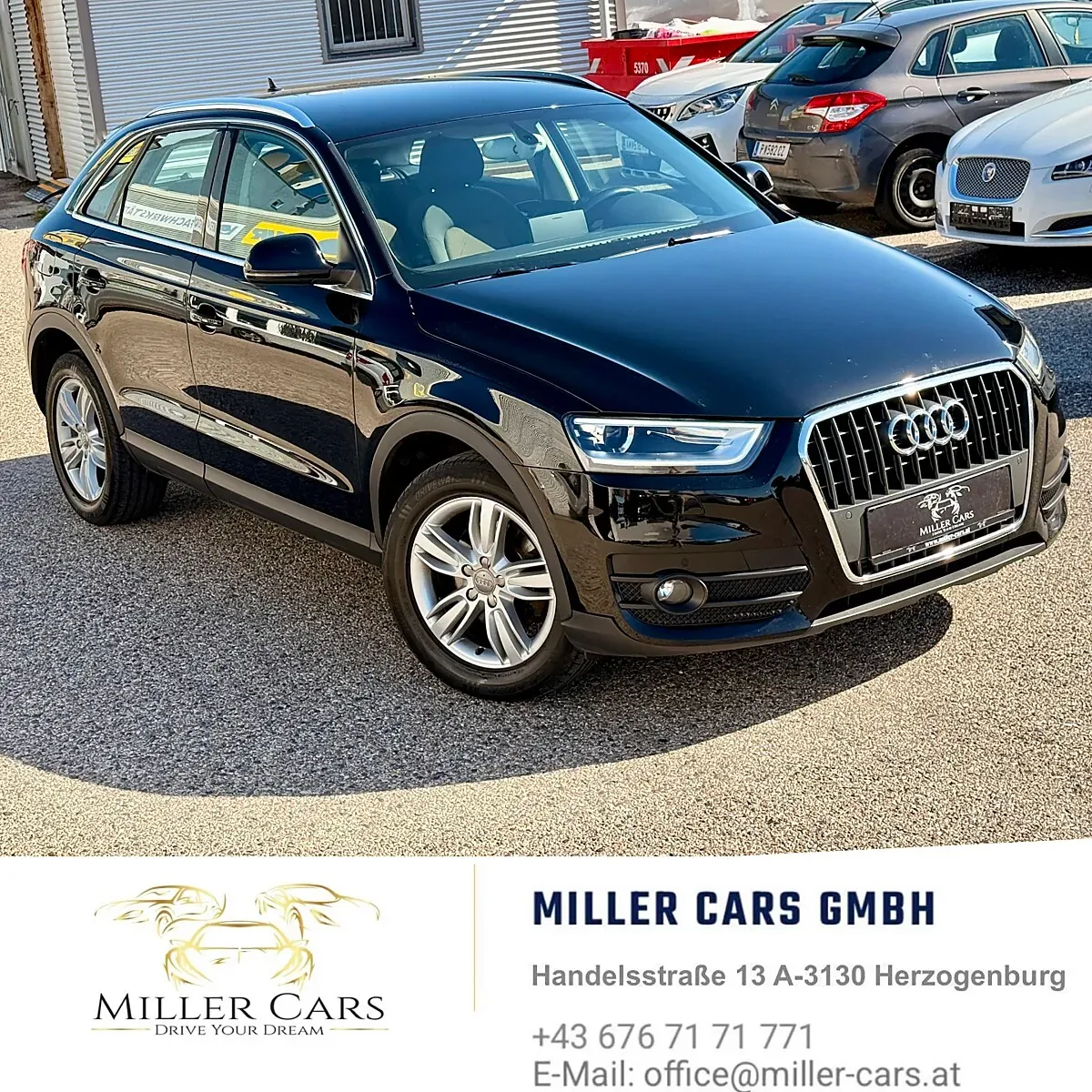 Audi Q3 2013 photo 3