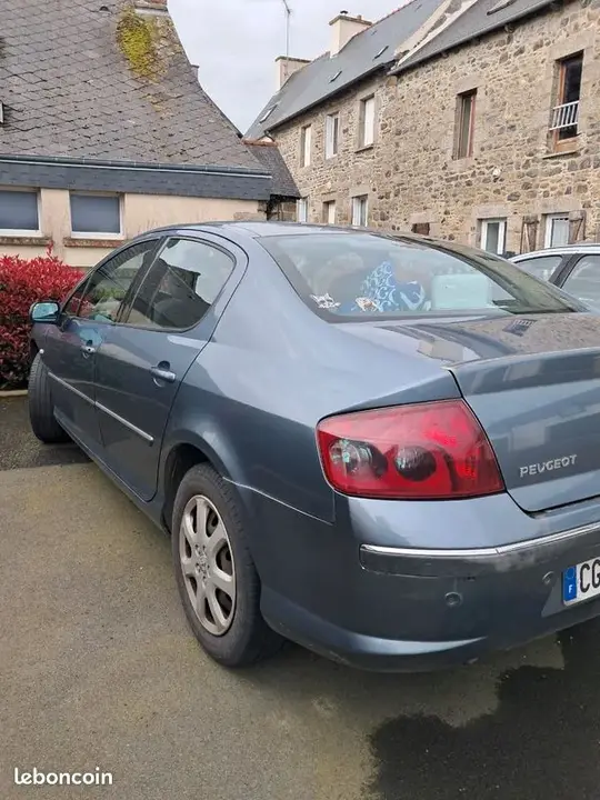 Peugeot 407 2006 photo 2