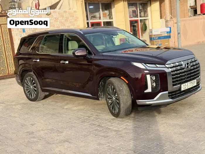 Hyundai Palisade 2024 photo 5