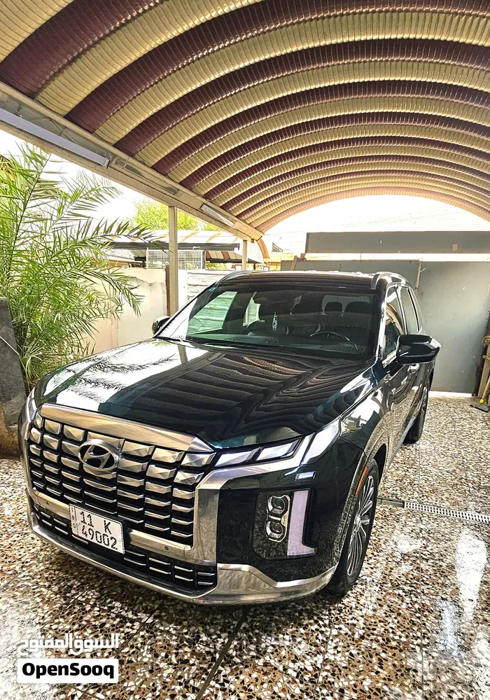 Hyundai Palisade 2024 photo 2