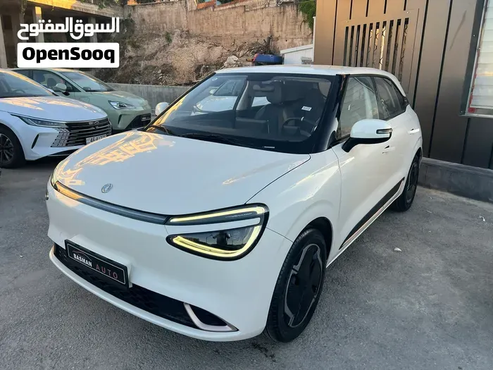 Dongfeng Nammi Box 2023 photo 2