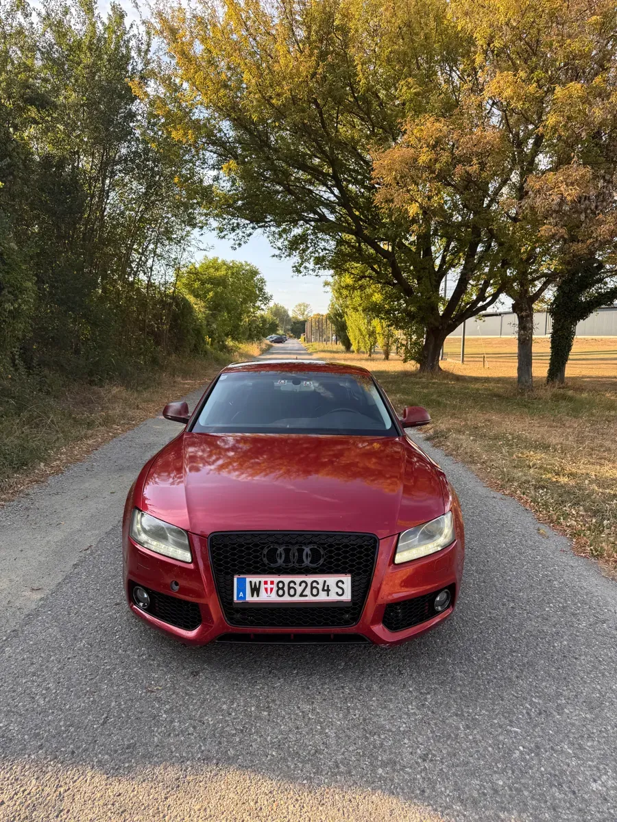 Audi A5 2008 photo 3